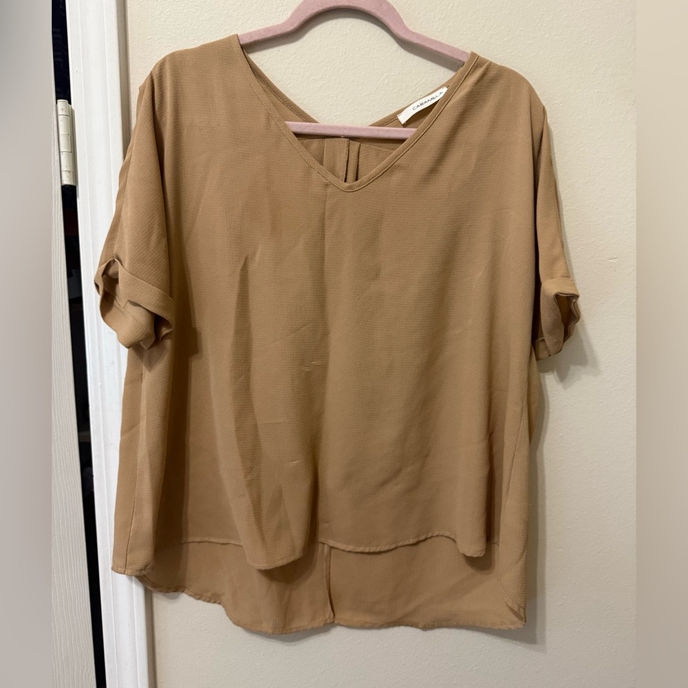 Caramel Tan V-Neck Blouse